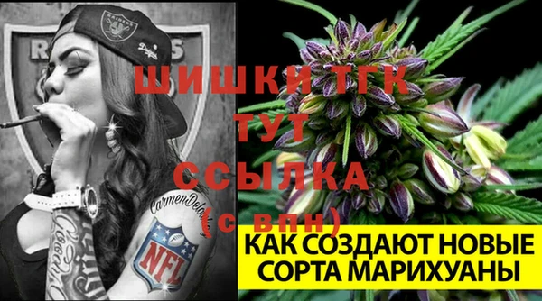 амф Бородино