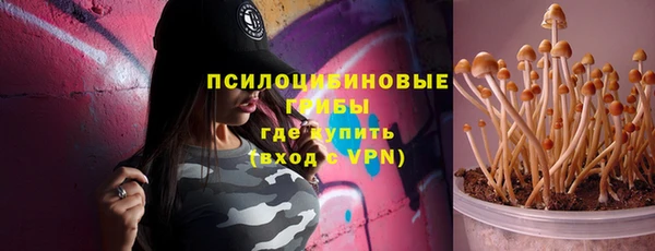 Альфа ПВП Бугульма