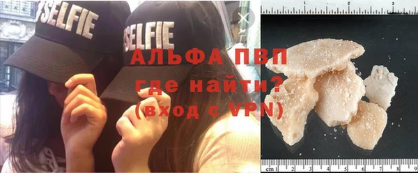 амф Бородино