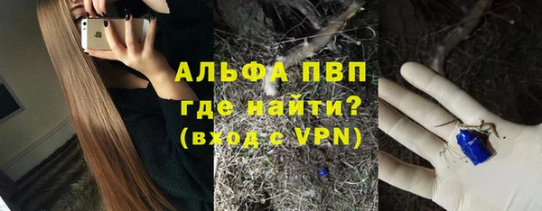 амф Бородино