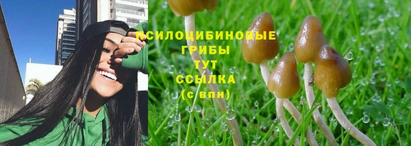 амф Бородино