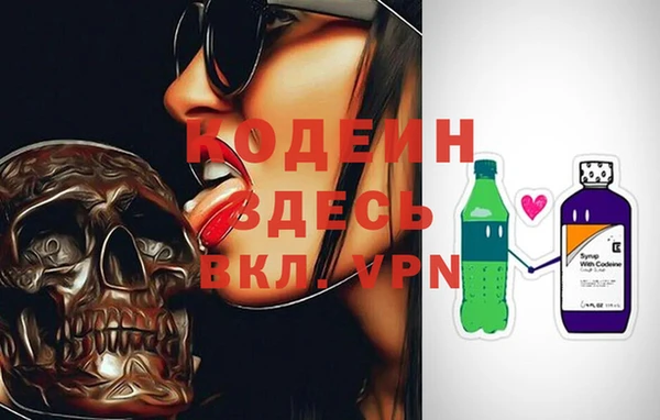 амф Бородино